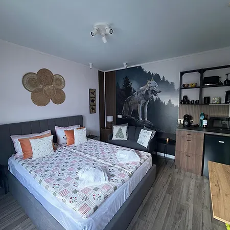 Luxury Studio2 In Friends Apartmán Bansko