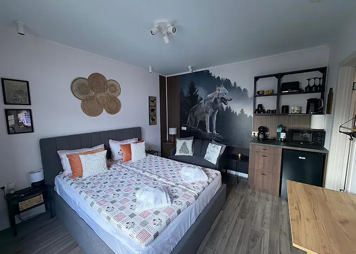 Luxury Studio2 In Friends Lägenhet Bansko