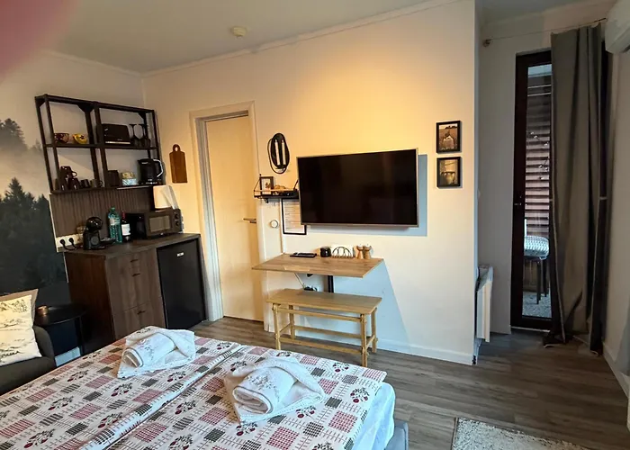 Luxury Studio2 In Friends アパート *